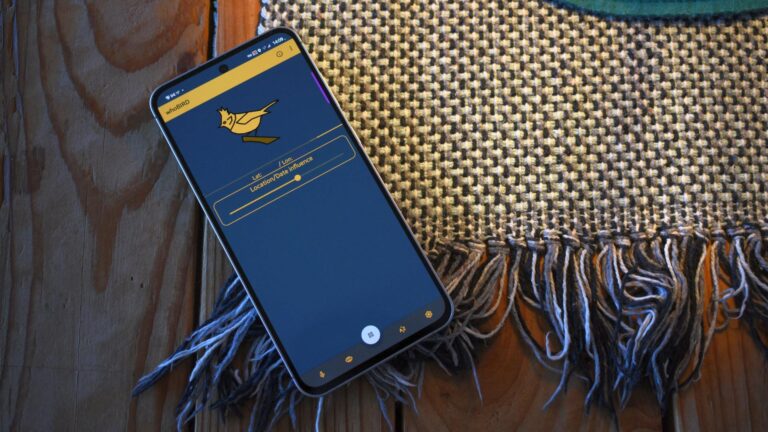 14 unusual Android apps I always install on my phone – Android Authority